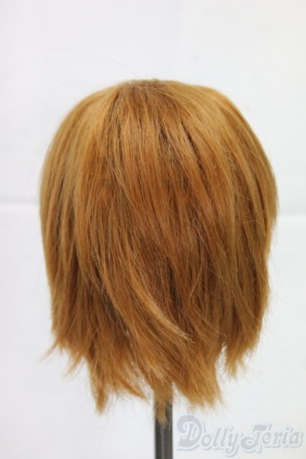 画像2: 8-9inch/ウィッグ/インチ　BJD　MJD　ドール用 I-25-12-28-284-KD-ZI (2)