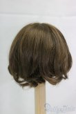 画像2: 6-7inch/ウィッグ/インチ　BJD　MJD　ドール用 I-25-12-28-282-KD-ZI (2)