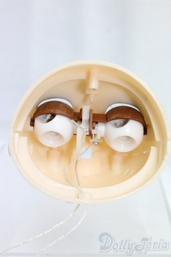 画像5: ネオブライス/カスタムヘッドのみ/0 I-25-12-28-111-KD-ZI (5)