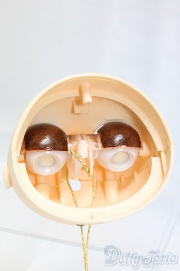 画像5: ネオブライス/カスタムヘッドのみ/0 I-25-12-28-112-KD-ZI (5)