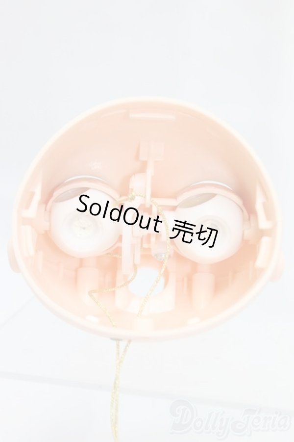 画像5: ネオブライス/カスタムヘッドのみ/0 I-25-12-28-113-KD-ZI (5)