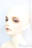 画像3: 【DOLK×SWITCH】HASEO/BJD　球体関節人形 I-25-12-28-252-KD-ZI (3)