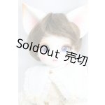 画像: DEAR MINE/BENJAMIN ~Etoile~/BJD　球体関節人形 I-25-12-28-253-KD-ZI