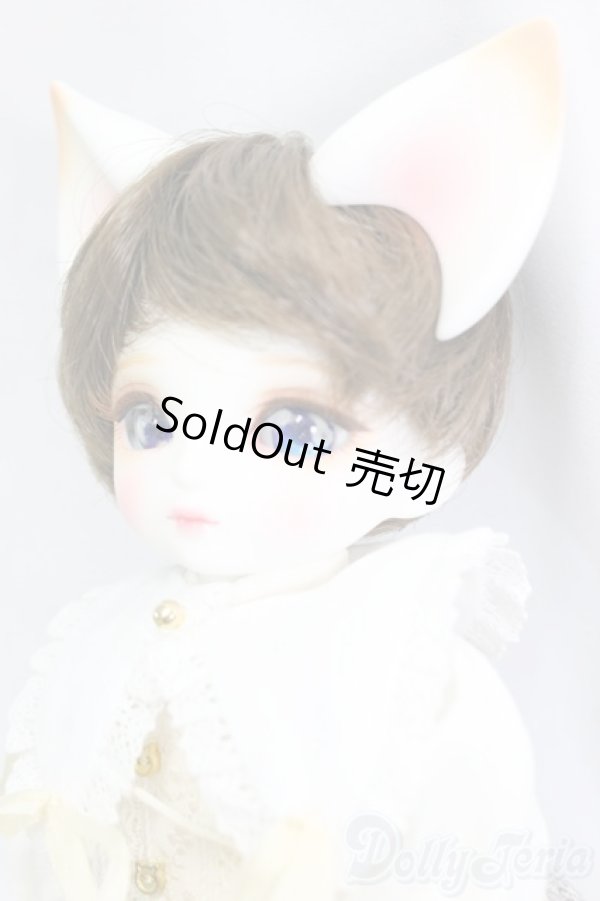 画像2: DEAR MINE/BENJAMIN ~Etoile~/BJD　球体関節人形 I-25-12-28-253-KD-ZI (2)