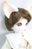 画像3: DEAR MINE/BENJAMIN ~Etoile~/BJD　球体関節人形 I-25-12-28-253-KD-ZI (3)