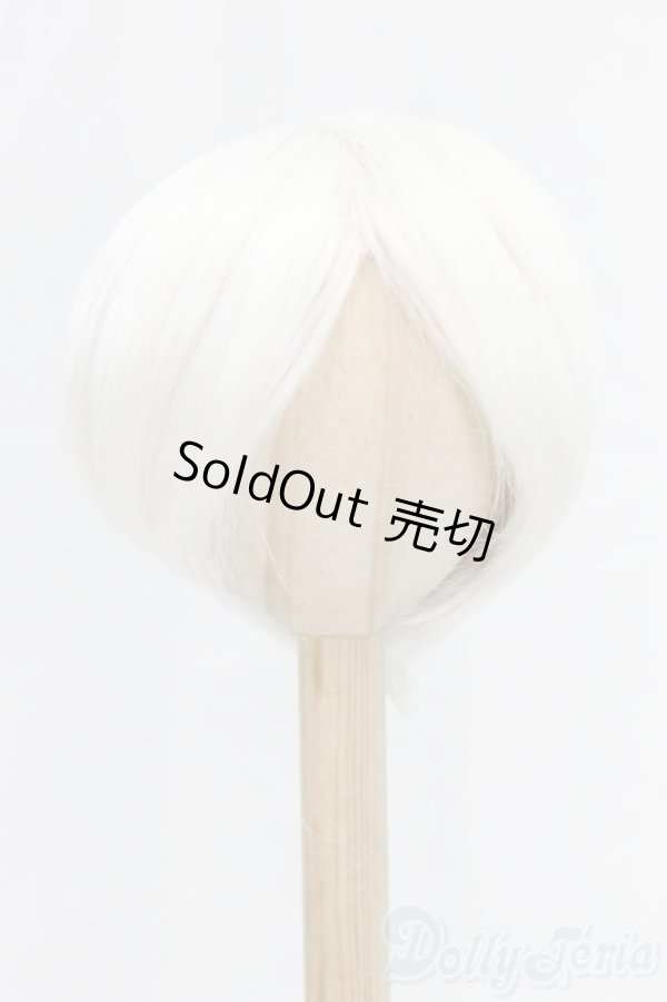 画像1: 8-9inch/ウィッグ/インチ　BJD　MJD　ドール用 I-26-01-04-102-KD-ZI (1)