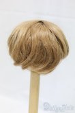 画像2: 7-8inch/ウィッグ/インチ　BJD　MJD　ドール用 I-26-01-04-104-KD-ZI (2)