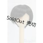 画像: 6-6.5inch/ウィッグ/インチ　BJD　MJD　ドール用 I-26-01-04-105-KD-ZI