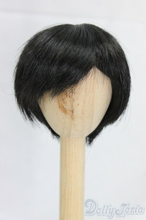 画像1: 6-6.5inch/ウィッグ/インチ　BJD　MJD　ドール用 I-26-01-04-105-KD-ZI (1)