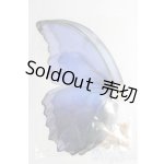 画像: SD/OF：Butterfly　Wings　PLSTIC/0 I-25-12-28-213-KD-ZI