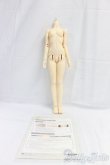 画像3: SD13GIRL/ボディ/BJD　球体関節人形 I-25-12-28-256-KD-ZI (3)