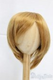 画像1: 9-10inch/ウィッグ/インチ　BJD　MJD　ドール用 I-25-12-28-293-KD-ZI (1)
