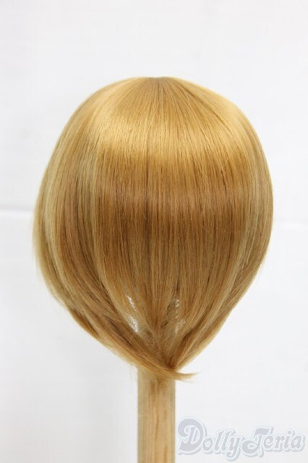 画像2: 9-10inch/ウィッグ/インチ　BJD　MJD　ドール用 I-25-12-28-293-KD-ZI (2)