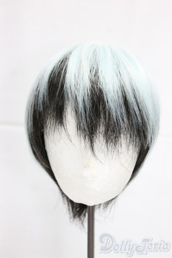 画像1: 8-9inch/ウィッグ/インチ　BJD　MJD　ドール用 I-25-12-28-291-KD-ZI (1)