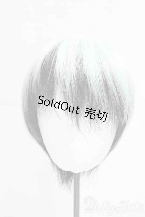 画像1: 8-9inch/ウィッグ/インチ　BJD　MJD　ドール用 I-25-12-28-291-KD-ZI (1)