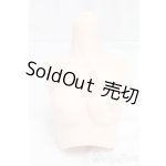 画像: DD/シリコン胸パーツ/0 I-25-12-28-262-KD-ZI