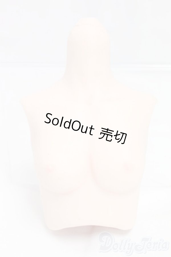 画像1: DD/シリコン胸パーツ/0 I-25-12-28-262-KD-ZI (1)