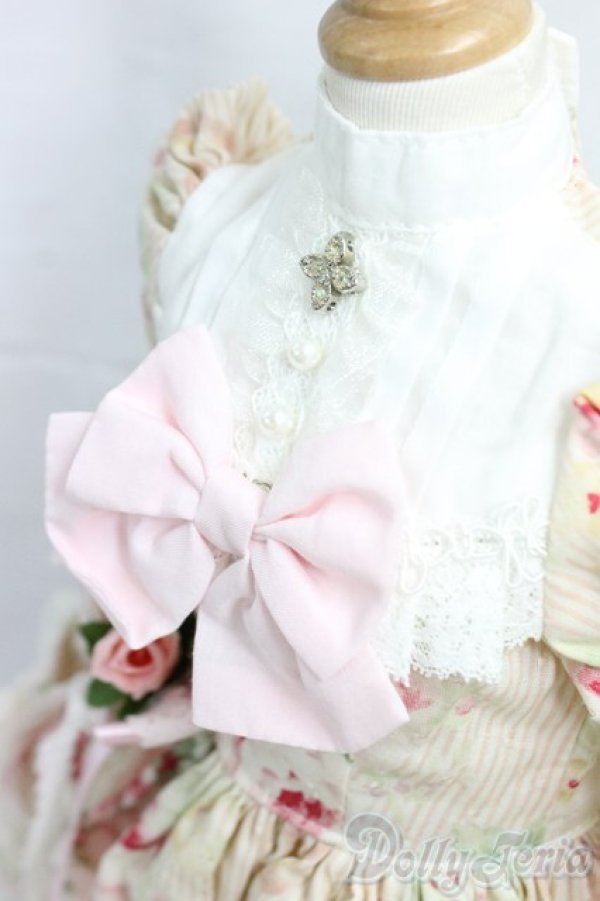 画像4: SD13G/OF:ドレス I-26-01-04-278-KD-ZI (4)