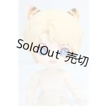 画像: 次元界TOY NAGI/留学シーズン 琥珀/ I-26-01-04-178-KD-ZI