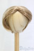 画像1: 9inch/ウィッグ/インチ　BJD　MJD　ドール用 I-26-01-04-157-KD-ZI (1)