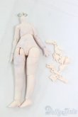 画像1: 1/12ボディ、パーツまとめて I-26-01-04-210-KD-ZI (1)