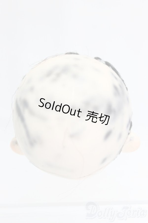 画像4: PARABOX/ヘッド PB 47-01 I-26-01-04-220-KD-ZI (4)