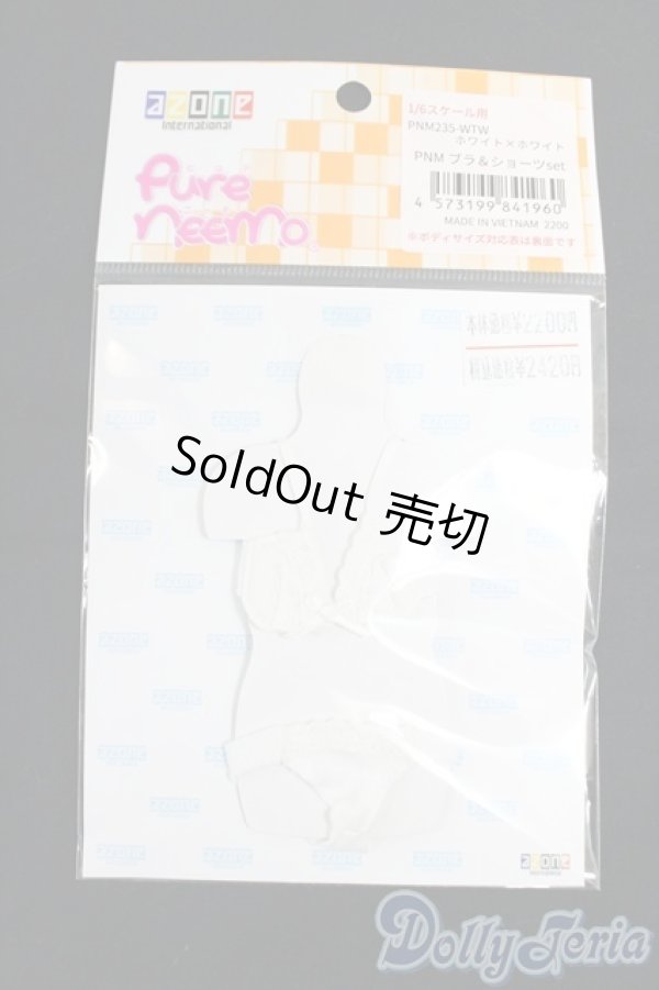 画像1: azone/1/6/OF：PNM　ブラ＆ショーツセット I-26-01-04-238-KD-ZI (1)