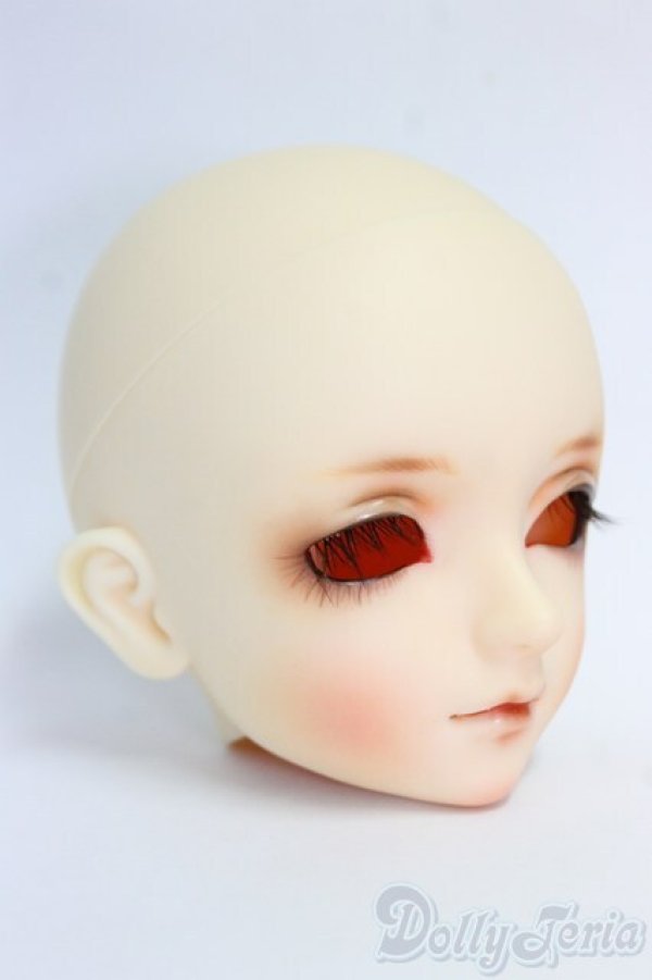 画像2: 教室/DWCヘッド＃06/BJD　球体関節人形 I-26-01-11-285-KD-ZI (2)
