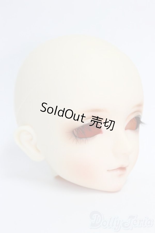 画像2: 教室/DWCヘッド＃06/BJD　球体関節人形 I-26-01-11-285-KD-ZI (2)