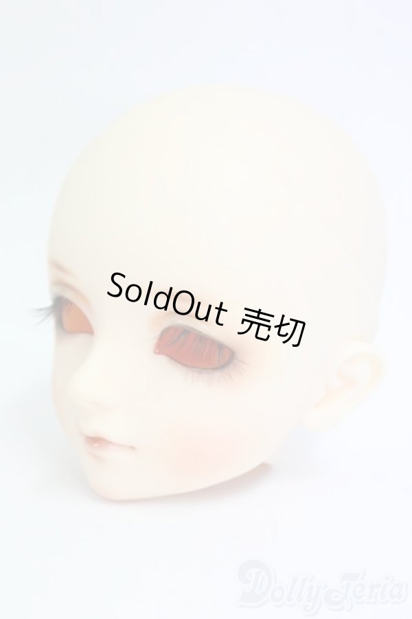 画像3: 教室/DWCヘッド＃06/BJD　球体関節人形 I-26-01-11-285-KD-ZI (3)
