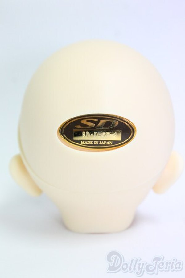 画像4: 教室/DWCヘッド＃06/BJD　球体関節人形 I-26-01-11-285-KD-ZI (4)