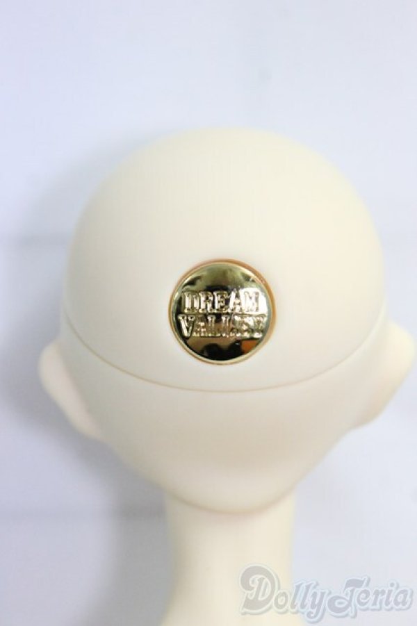 画像4: Dream Valley/Elvish(无影)/BJD　球体関節人形 I-26-01-11-298-KD-ZI (4)