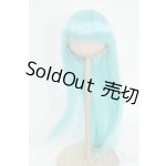 画像: 8-9inch/ウィッグ Y-26-01-21-179-KD-ZY