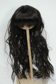 画像1: 8-9inch/ウィッグ Y-26-01-21-175-KD-ZY (1)