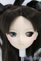 画像: DD/遠坂 凛/BJD　球体関節人形 I-26-01-11-244-KD-ZI