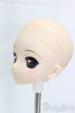 画像3: DD/千堂瑛理華/BJD　球体関節人形 I-26-01-11-246-KD-ZI (3)