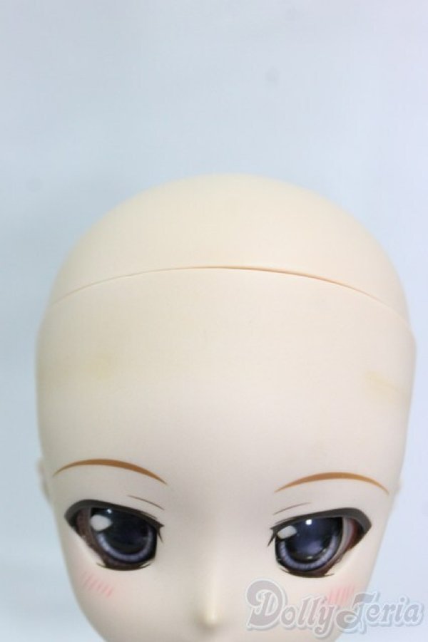 画像5: DD/千堂瑛理華/BJD　球体関節人形 I-26-01-11-246-KD-ZI (5)