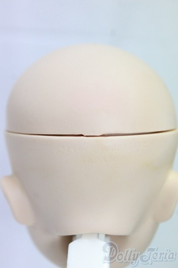 画像7: DD/千堂瑛理華/BJD　球体関節人形 I-26-01-11-246-KD-ZI (7)