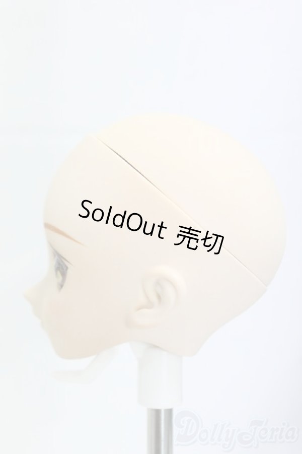 画像3: DD/ユキノヘッド/BJD　球体関節人形 I-26-01-11-247-KD-ZI (3)