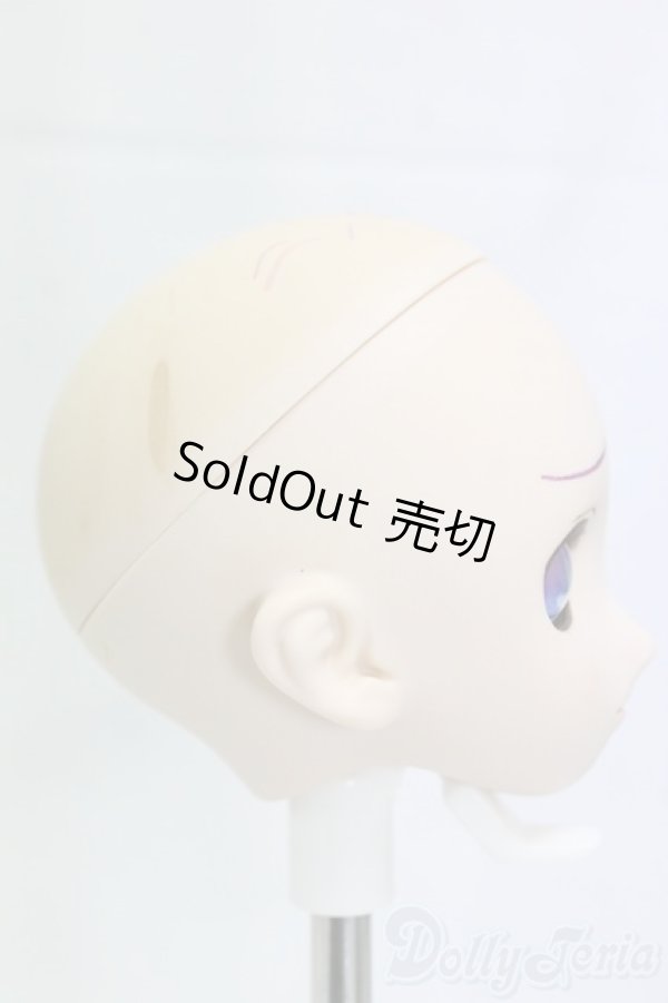 画像2: DD/ユキノヘッド/BJD　球体関節人形 I-26-01-11-248-KD-ZI (2)