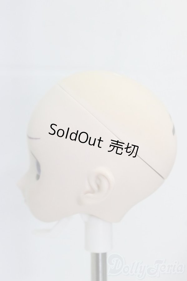 画像3: DD/ユキノヘッド/BJD　球体関節人形 I-26-01-11-248-KD-ZI (3)