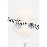 画像: DD/造形村60メイク済みヘッド/BJD　球体関節人形 I-26-01-11-249-KD-ZI