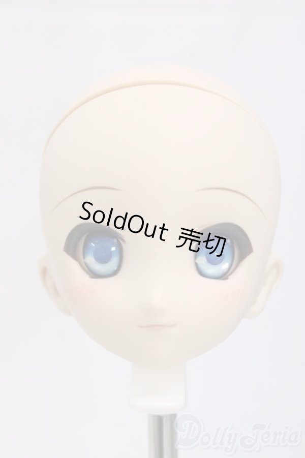 画像1: DD/造形村60メイク済みヘッド/BJD　球体関節人形 I-26-01-11-249-KD-ZI (1)