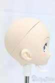 画像2: DD/造形村60メイク済みヘッド/BJD　球体関節人形 I-26-01-11-249-KD-ZI (2)