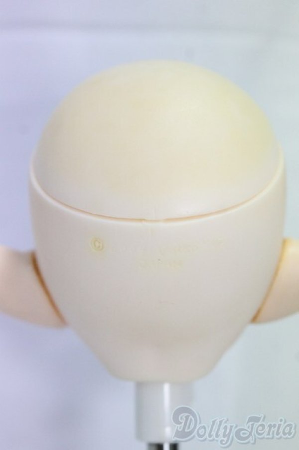 画像5: DD/初期ヘッド/BJD　球体関節人形 I-26-01-11-250-KD-ZI (5)