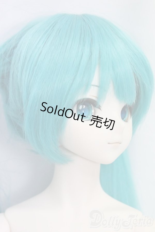 画像2: DD/初音ミク/BJD　球体関節人形 I-26-01-11-289-KD-ZI (2)