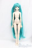 画像4: DD/初音ミク/BJD　球体関節人形 I-26-01-11-289-KD-ZI (4)