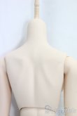 画像5: DDS/ベースボディIII/BJD　球体関節人形 I-26-01-11-194-KD-ZI (5)