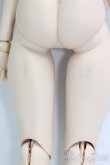 画像6: DDS/ベースボディIII/BJD　球体関節人形 I-26-01-11-194-KD-ZI (6)