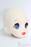 画像2: DD/DDH-04:カスタムヘッド/BJD　球体関節人形 I-26-01-11-191-KD-ZI (2)